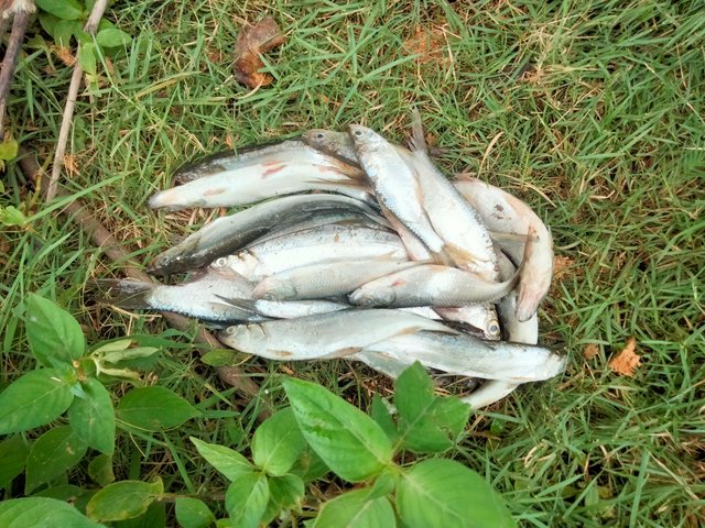 IMG20250713101516.jpg