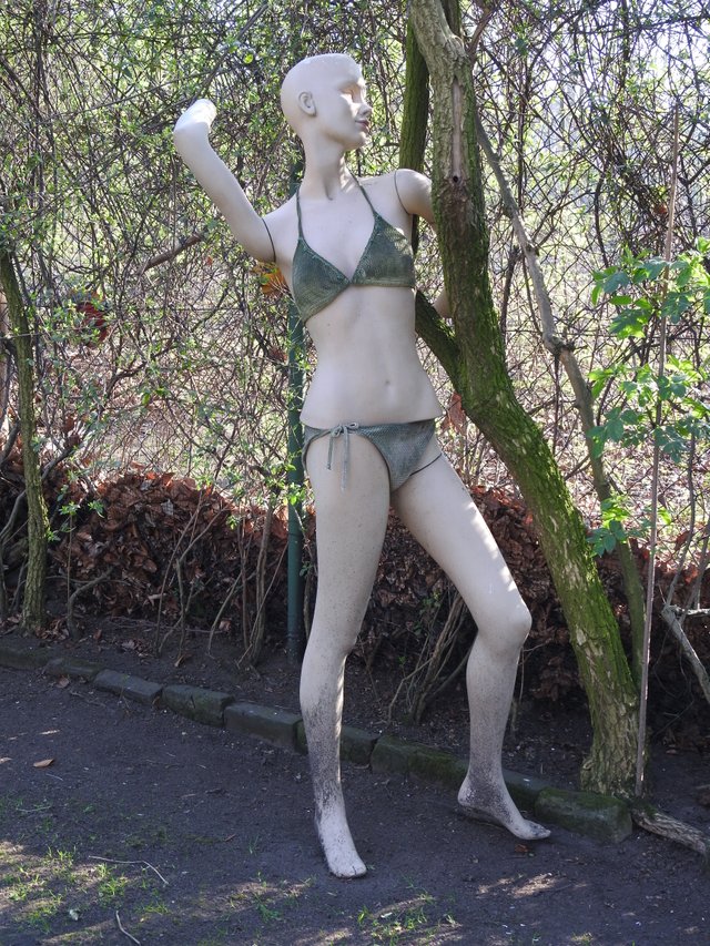 DSCN1232.JPG