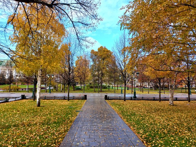 20211018_114155.jpg