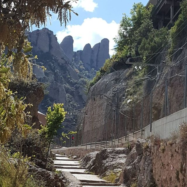20190520_161714.jpg