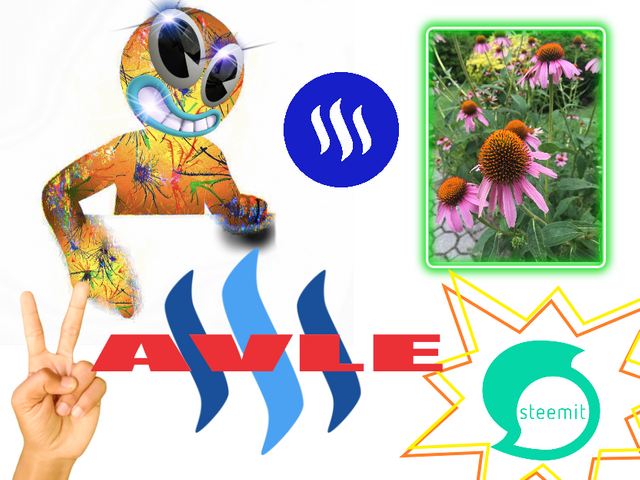 82 STEEM AVLE 2.png
