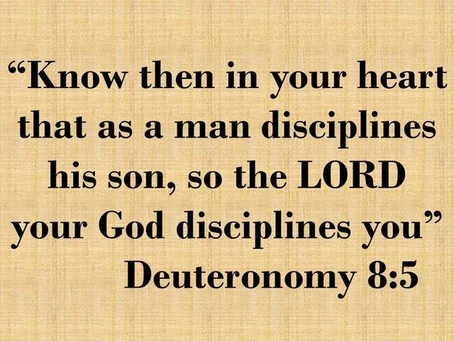 Bible Devotion. Know then in your heart that as a man disciples his son, so the LORD your God disciplines you.jpg