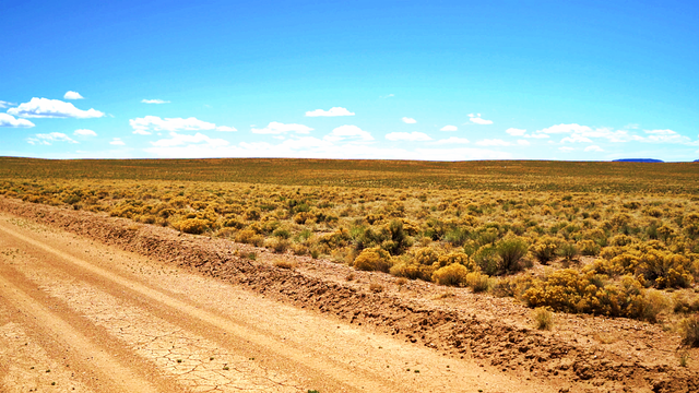 Exceptionally Spacious, Flexible With Bushland Ambience.png