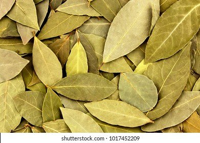 dried-bay-leaves-texture-background-260nw-1017452209.jpg