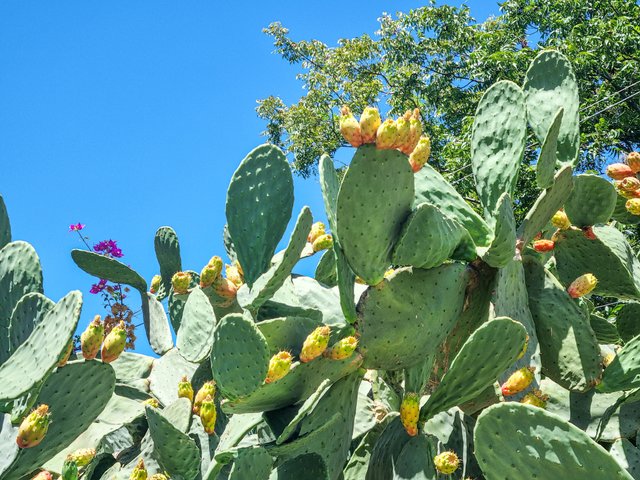 20250829_111841.jpg