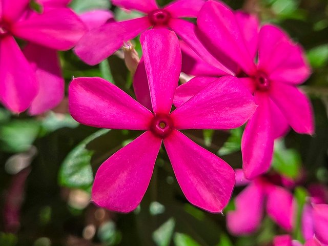20250913_122652.jpg
