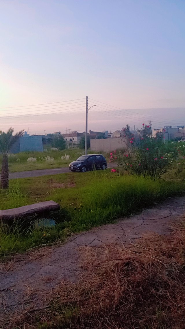 1000548050.jpg