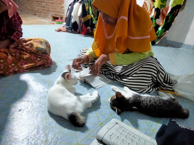 IMG20250516193124.jpg