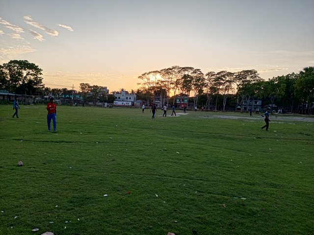 IMG_20250409_180132_372.jpg