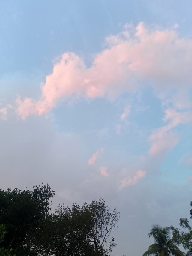 IMG20250905181722.jpg