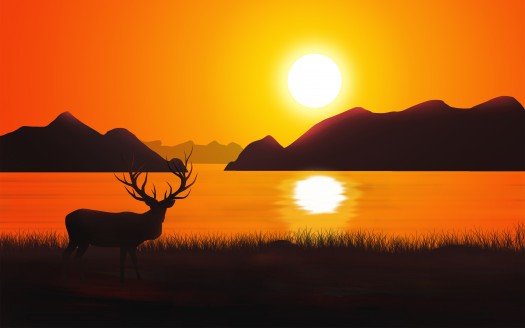 sunset_deer_silhouette_4k-t2.jpg