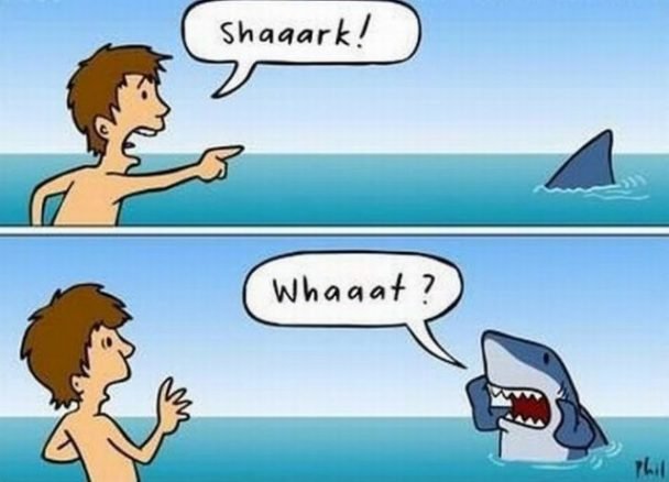 funny39-e1310688058581-608x438.jpg