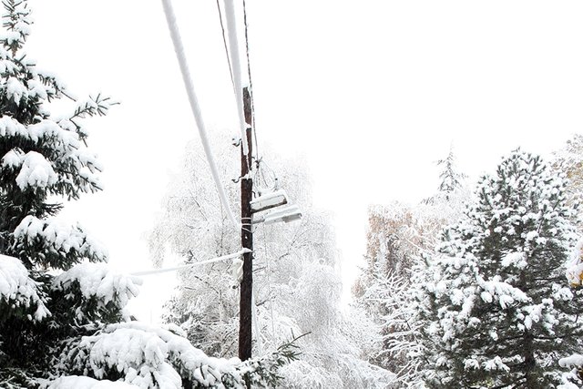 Winter_Vibes_n05_s.jpg