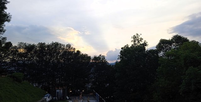 IMG_20250408_175518_1.jpg
