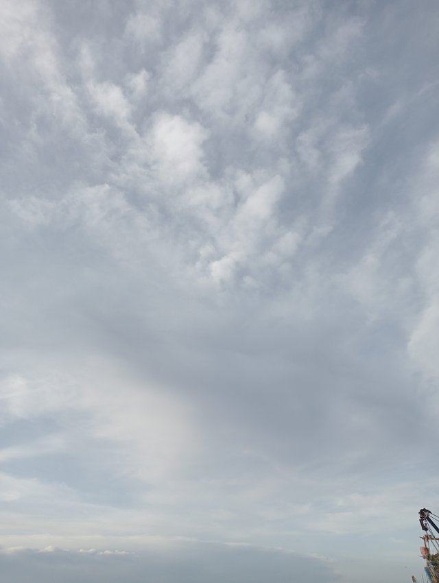 IMG20250723182636.jpg