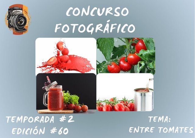 Concurso fotográfico (37).jpg