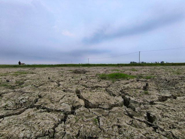IMG_20250515_171800.jpg