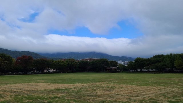 IMAGE 2025-11-03 01:07:46.jpg