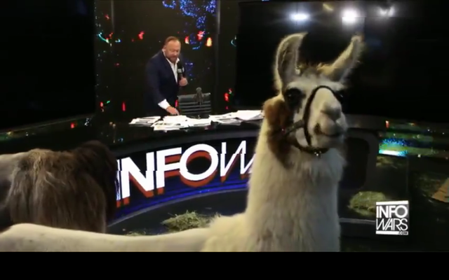 Alex Jones Llama Screenshot at 2019-10-04 00:13:49.png