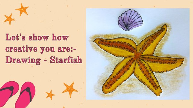 Let’s show how creative you are- Drawing - Starfish.jpg