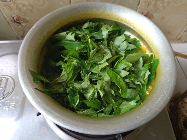 patshak (12).jpg