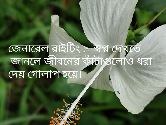 IMG_20250922_101326.jpg