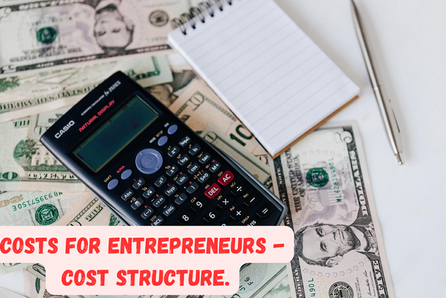 Costs for entrepreneurs - Cost structure..png