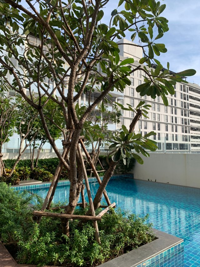 condominium’s swimming pool7.jpg