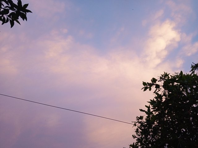 IMG_20250706_184952_206.jpg