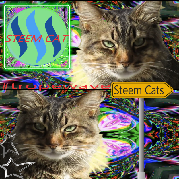 720 chroma cat 2.png