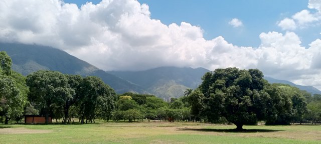 IMG_20250909_102625_135.jpg