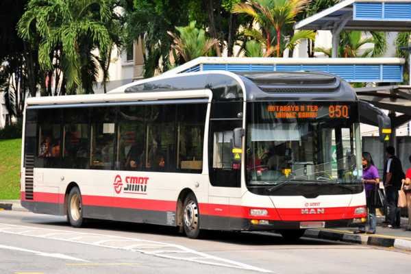 SMRT-Bus.jpg