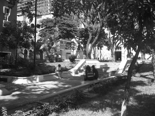 plazaaliprimerarosell.jpg