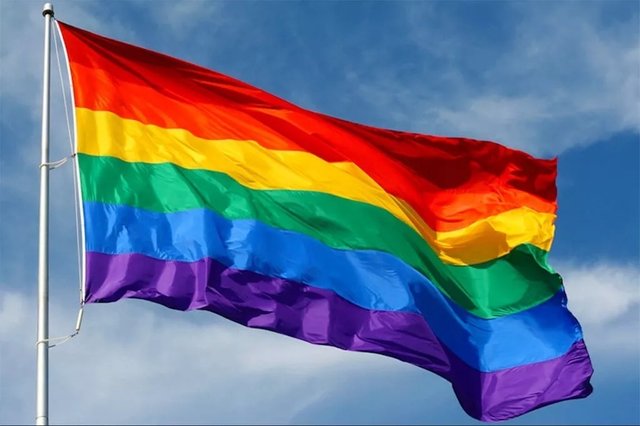 bandera-gay-lgbt-arcoiris-nuevas-de-90x150cms-D_NQ_NP_868524-MLC27203309418_042018-F.jpg