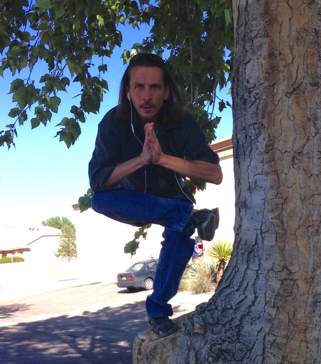 Me in a Tree.jpg
