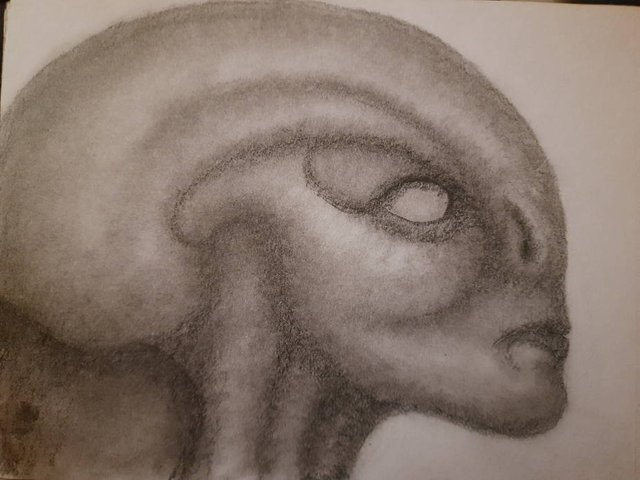 20250522_112300.jpg