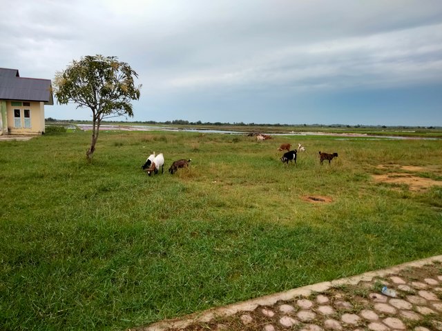 IMG20250720181043.jpg