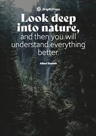 nature.jpeg