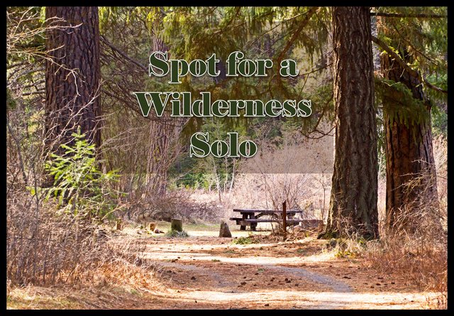 forest-trail-picture_ with picnic table spot for wildernes solo.jpg