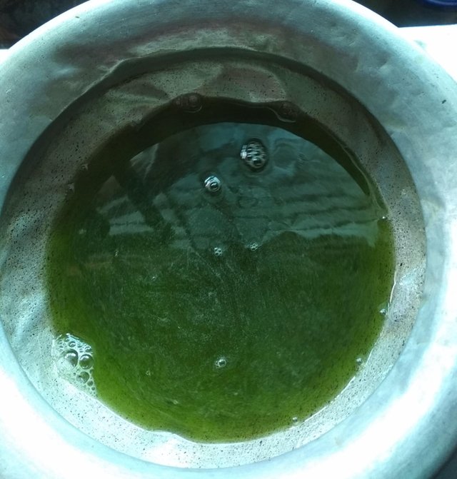 r7.jpg