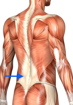 fix-lower-back-pain-deadlift-activate-lats.jpg