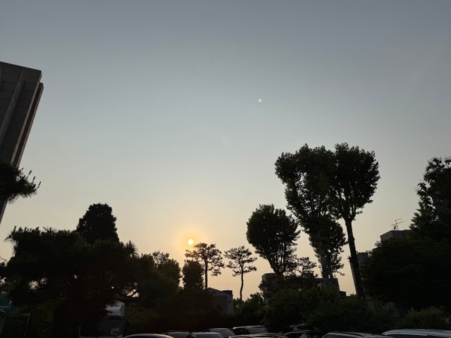 IMG_1202.jpeg