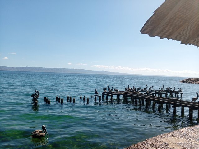 IMG_20250416_091405_671.jpg