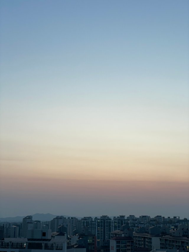 IMG_6885.jpeg