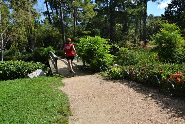 female-jogger-g233f15e54_1920.jpg