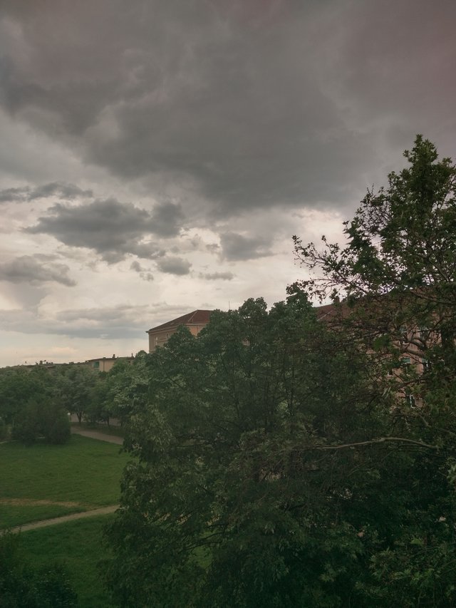 IMG_20250506_154530_HDR.jpg