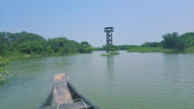 20250609_104300.jpg