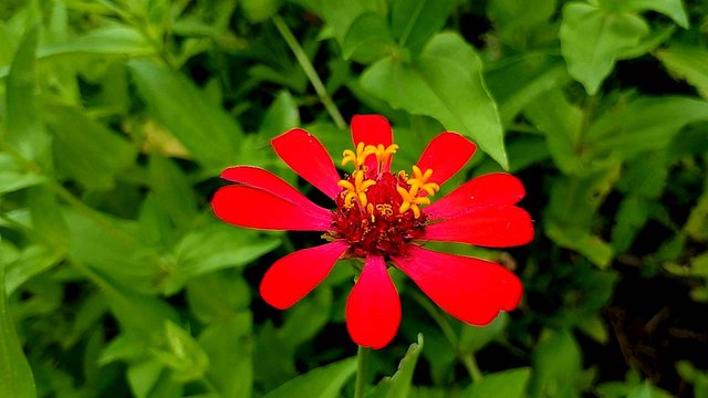 IMG_20250930_164117.jpg