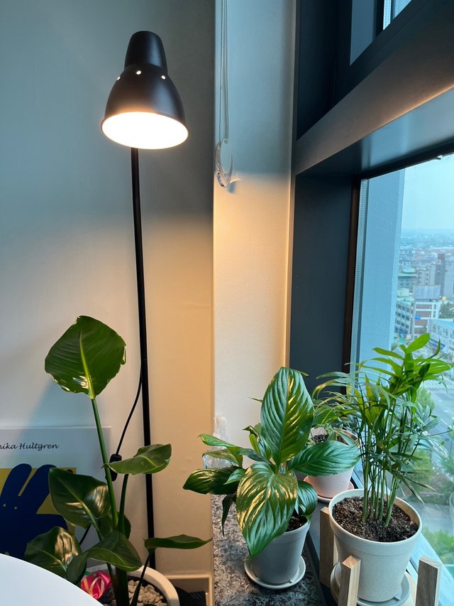 KakaoTalk_20220430_181034363.jpg