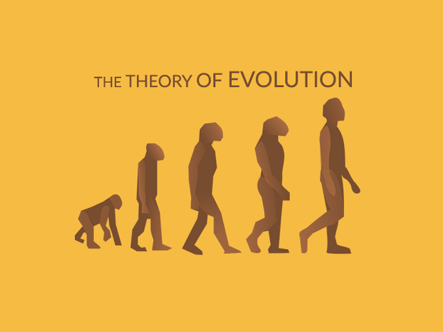 Theory-of-Evolution.png